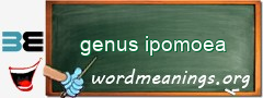 WordMeaning blackboard for genus ipomoea